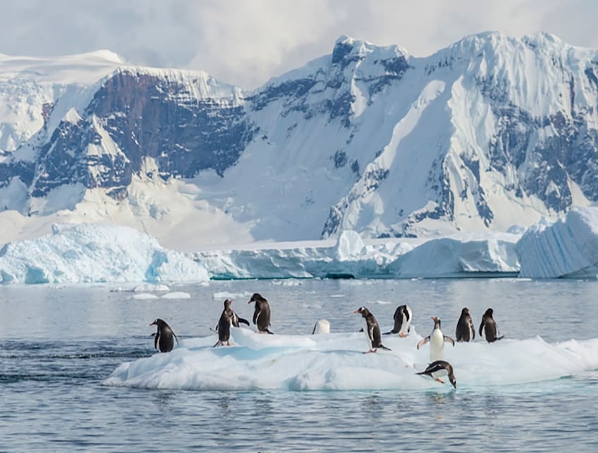Adventures by Disney Expedition Cruises to Antarctica and the Galápagos Islands
